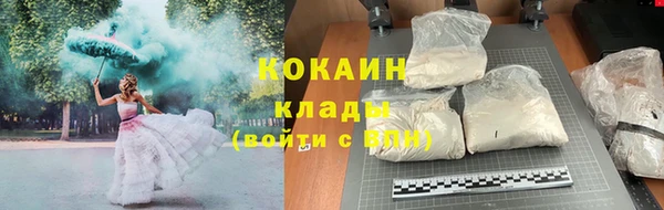 гидра Няндома