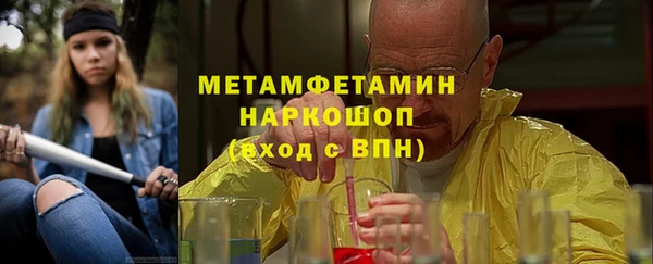 гидра Няндома