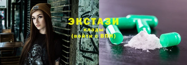 гидра Няндома