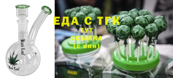 гидра Няндома