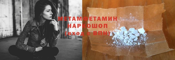 гидра Няндома