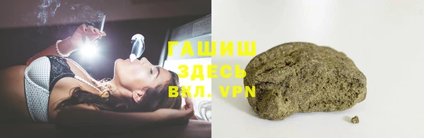 гидра Няндома