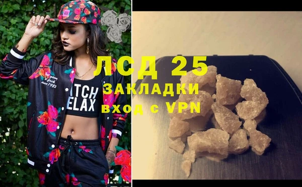 гидра Няндома