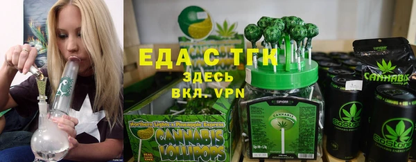 гидра Няндома