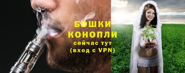 гидра Няндома