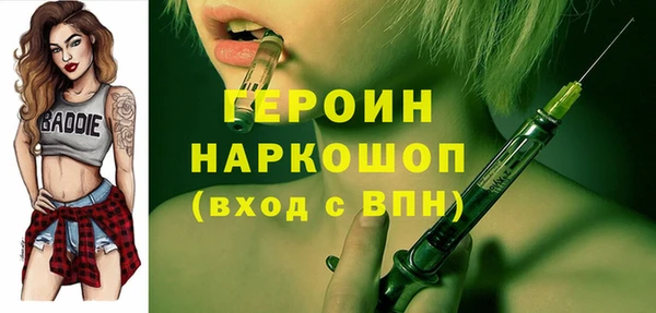 гидра Няндома