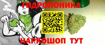 прущие грибы Волжский