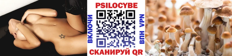 Галлюциногенные грибы Psilocybine cubensis  kraken зеркало  Азов 