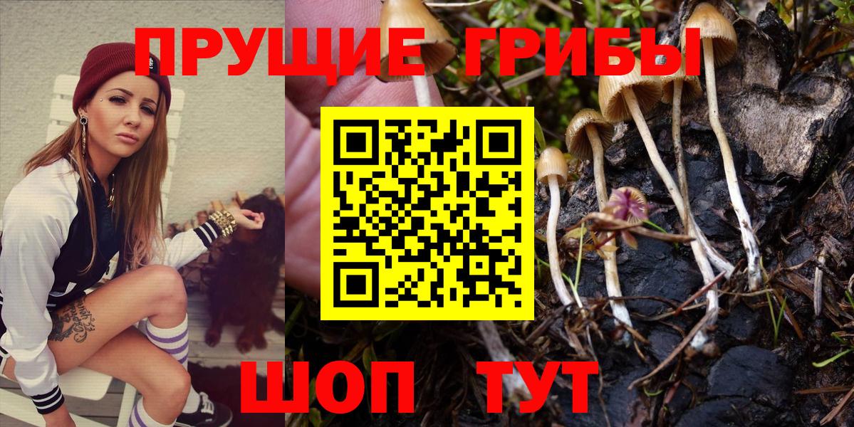 Азов  Псилоцибиновые грибы ЛСД  Вход с VPN  купить наркоту  Галлюциногенные грибы Psilocybe 