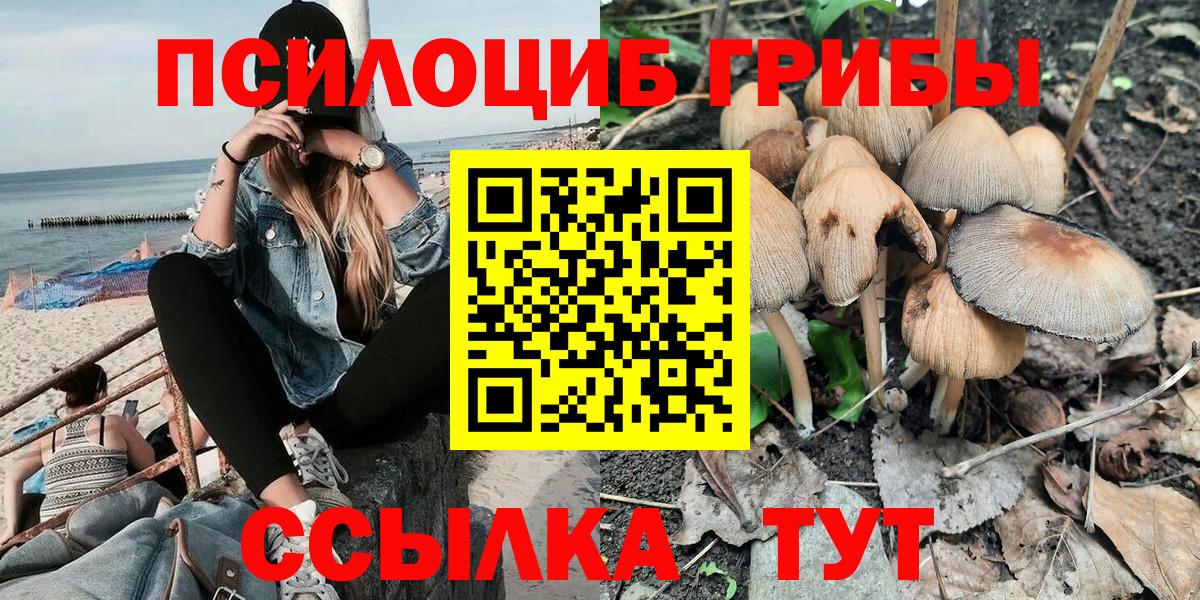 купить  цена  Азов  Псилоцибиновые грибы прущие грибы  Псилоцибиновые грибы MAGIC MUSHROOMS 